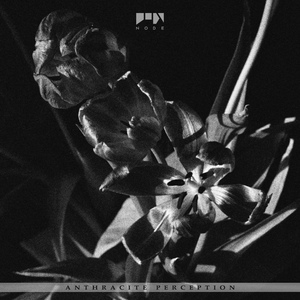 Akila (Original Mix)