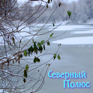 Северный полюс