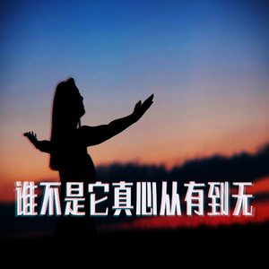 谁不是它真心从有到无