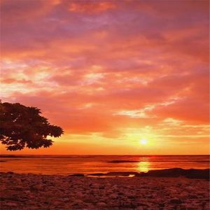 忧愁融化成欢笑