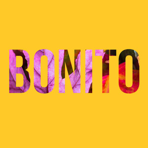 Bonito