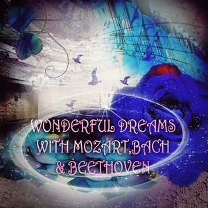 Cantata, BWV 74, “Wer mich liebet, der wird mein Wort halten”: V. Aria, Kommt, eilet, stimmet Sait und Lieder (Flute Harp Version)