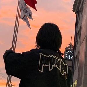 鲨鲨星