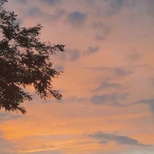 形容（呆呆破温柔版）