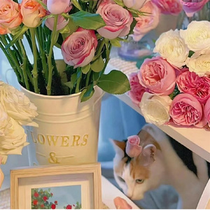 一曲离歌声犹存