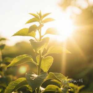 你是否和我一样