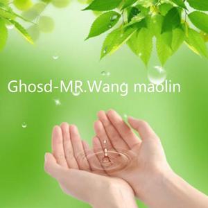 Ghosd-MR.Wang maolin