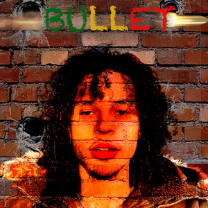 Bullet