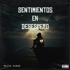 SENTIMIENTOS EN DESESPERO