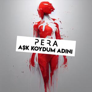 Aşk Koydum Adını