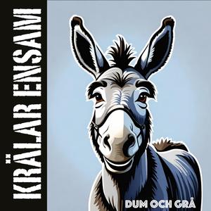 Dum Och Grå