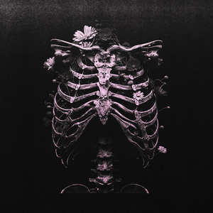 yarına bırakırım