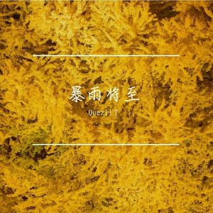 暴雨将至（feat.Hanniy)