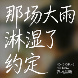 那场大雨淋湿了约定 （原版）