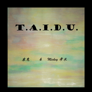 T.A.I.D.U.