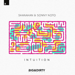 Intuition (Extended Mix)