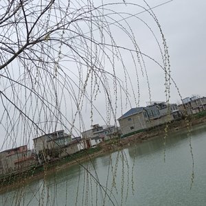 父亲推我去远方