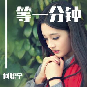 宋冬野-安河桥-夏添（何聪宁 remix）