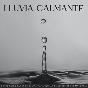 Serenata Lluviosa