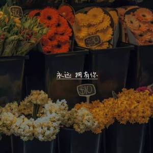 永远拥有你（DEMO）