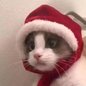 爱你就像习惯了叹息一样