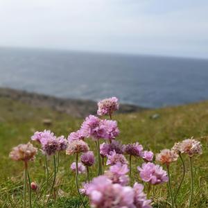 me too. (feat. kiddamo)