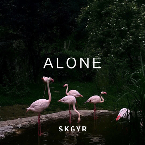 Alan Walker-Alone（SKGYR remix）
