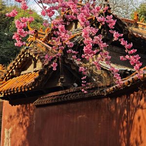 逃离虚拟的迷雾