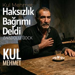 Haksızlık Bağrımı Deldi