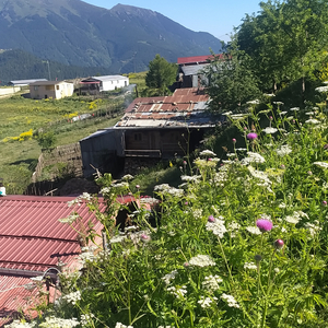 Yılların Hasreti