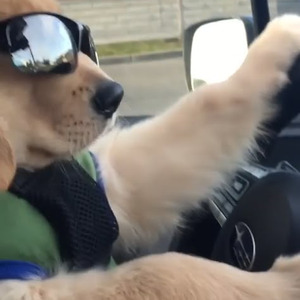 Big Bidness (sped up)