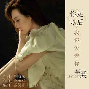 你走以后我还爱着你 (DJ默涵版)