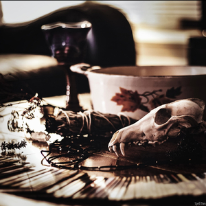 Hex (Prognosticator Mix)