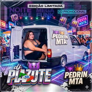 PT06 Mega do Pedrin ESP. Se for Gorda vai na Fiorino