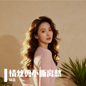 锦书寄到无人答