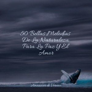 Las Mareas Doradas Fluyen