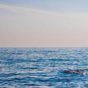 在这个世界相遇