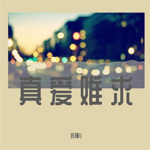 真爱难求 (伴奏)