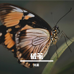 破茧