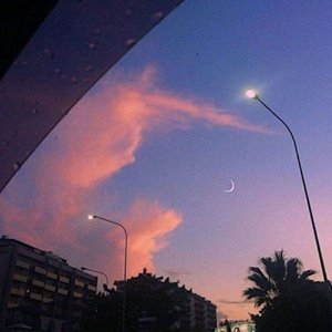 寻 Seek for trail 伴奏