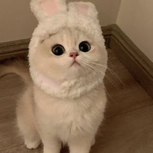 Tujh mein rab dikhta hai