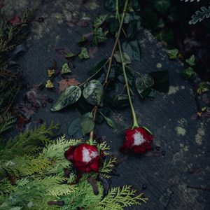 《E8r即兴曲》过去的就让它尽情燃烧