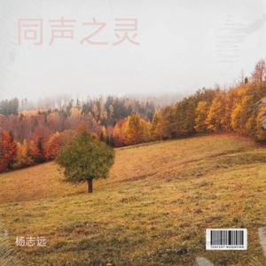 杨志远 - 同声之灵 (Live) [mqms]
