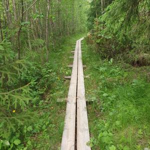 Vägen till Kärleken