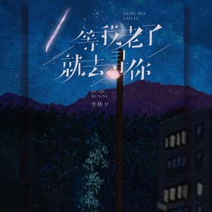 等我老了就去寻你