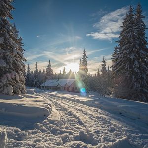 BOY JANGAN MALU MALU BOY (Remix)