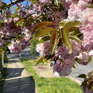 Worst (sorry 4 da wait)