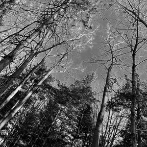 Afterallyour’ewanted...