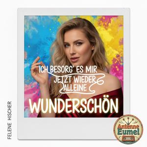 Ich besorg' es mir jetzt wieder alleine (Wunderschön)