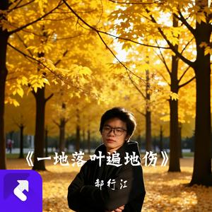 一地落叶遍地伤